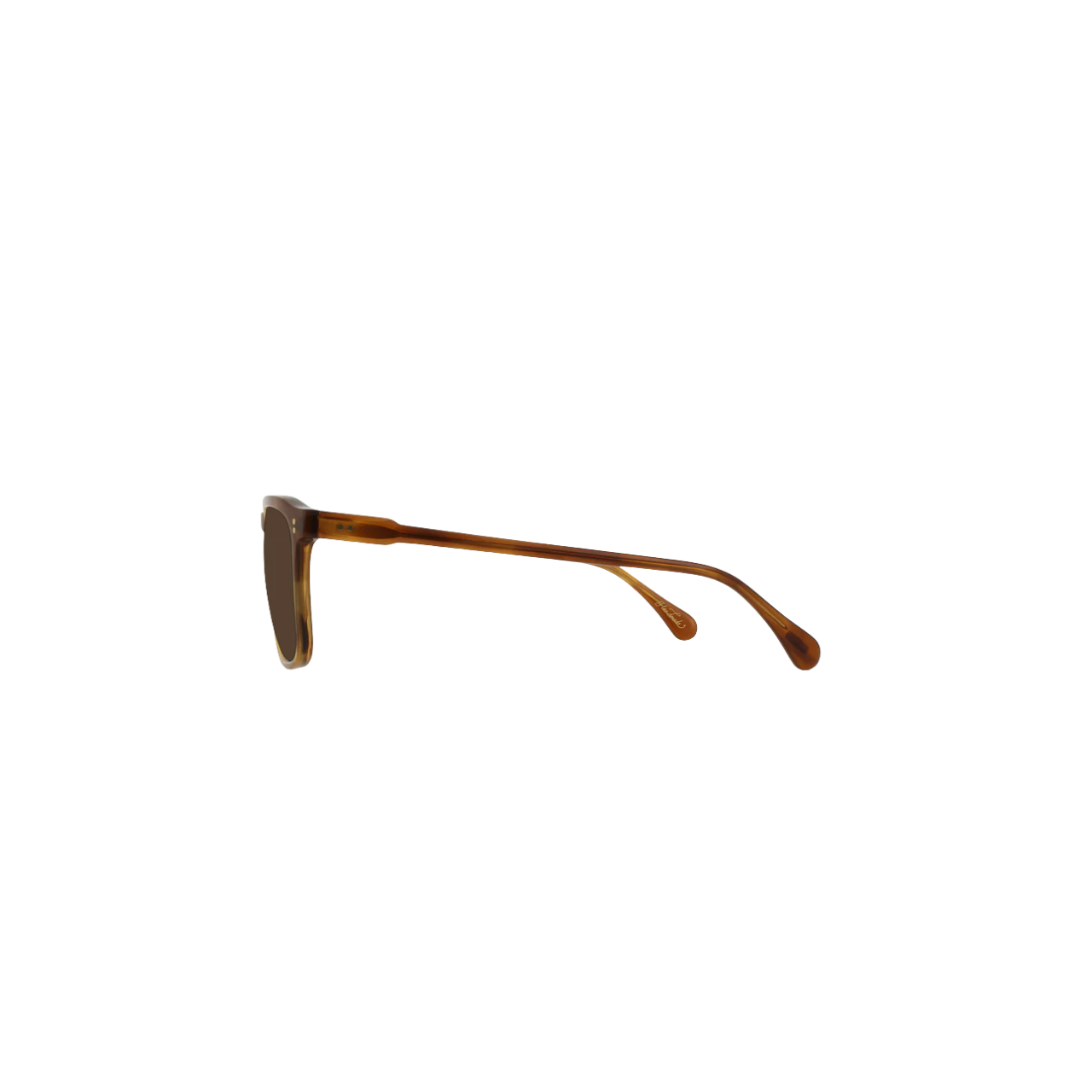 Wiley - Santa Fe Tortoise/Vibrant Brown Polarized