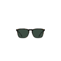 Wiley - Brindle Tortoise/Green Polarized