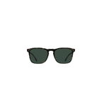 Wiley - Brindle Tortoise/Green Polarized